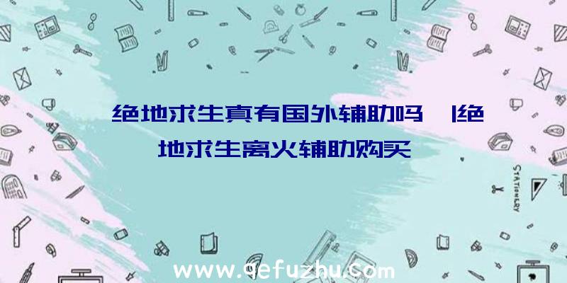 「绝地求生真有国外辅助吗」|绝地求生离火辅助购买